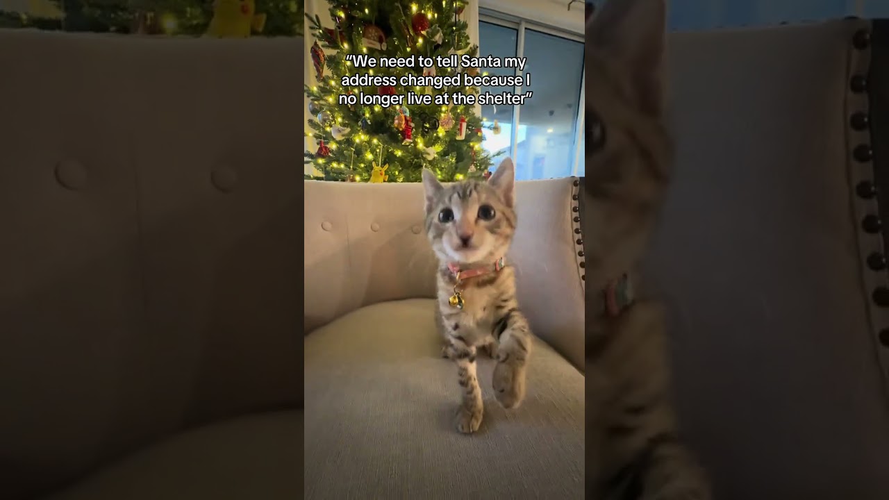 @duval_and_blue: Santa, I found a home 