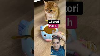 Chatori billi h @spexplain #trending