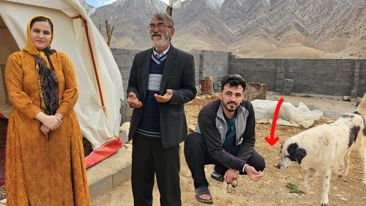 Maryam's Land Installment Crisis | Hassan's Love for a Stray Dog.