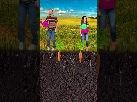 Большой против Маленького челлендж #shorts Лучшее видео от Andi like