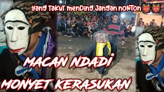 Download Lagu macan ndadi monyetan kerasukan‼️full kalapan jaranan new sopo nyono Bantur MP3