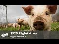 $325 Pig Pen for Grass-Fed Pork