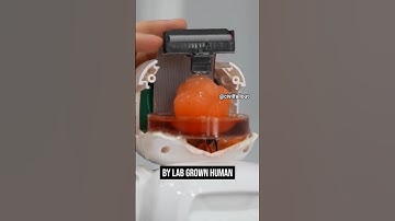 ROBOBRAINS in real-life?! #fallout #civilfallout