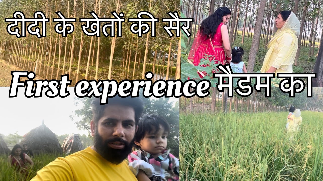 दीदी के खेतों की हरियाली में बचपन की यादें 🌾✨। दीदी के खेतों की सैर 🌾।
