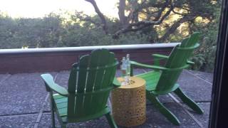 IMG 6087
