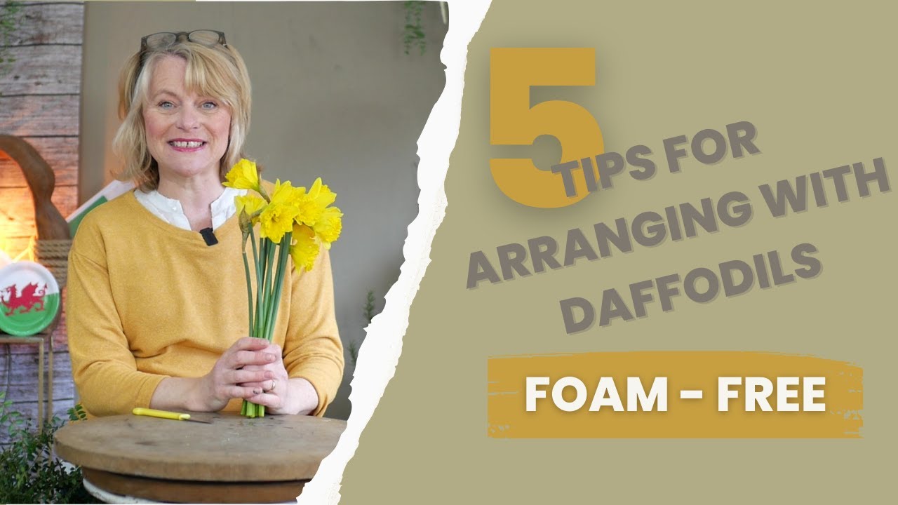 Do you know about these top tips for arranging with Daffodils?