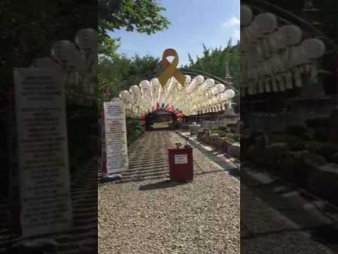 포항삼보사 세월호참사추모식 100일기도