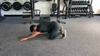 Quadruped shoulder reach, roll, & lift