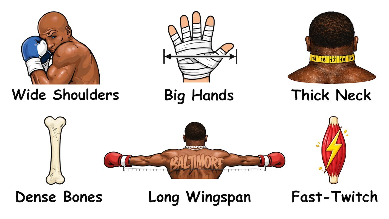 Every Physical Advantage in Boxing Explained