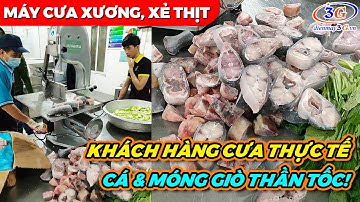 FEEDBACK MÁY CƯA XƯƠNG, CẮT CÁ ĐÔNG LẠNH VỀ BẾP BẮC NINH| Điện Máy 3G
