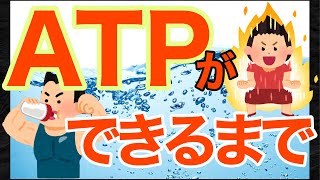 ATPは3つの代謝から生産されます！救急救命士国家試験対策