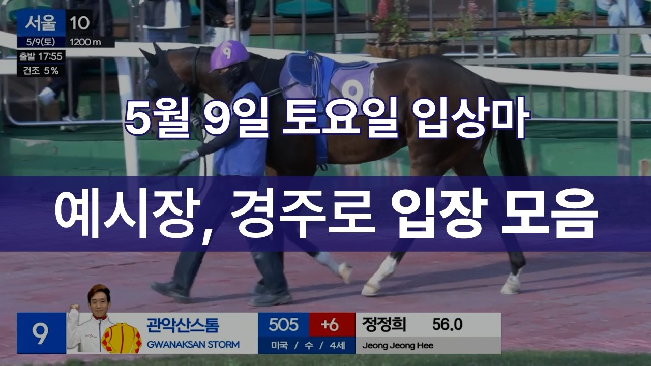 [5월 9일 토요일 입상마] 예시장, 경주로 입장 모음