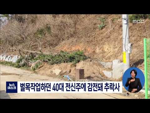 벌목작업하던 40대 전신주에 감전돼 추락사 [목포MBC 뉴스데스크]