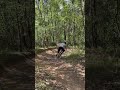 always loyal to it, u ride mtb or road?