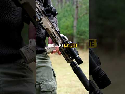 Ideal Civilian Setup - Geissele Super Duty Build