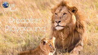 [Lion Pride 2021]  Predators Playground Documentaries 2021[English subtitles] - Our Climate.