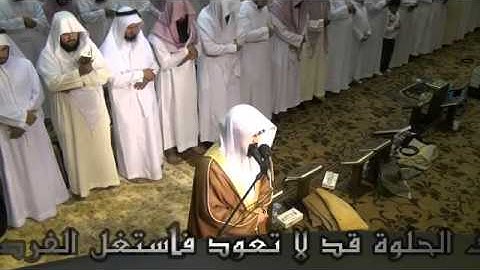 تلاوة مؤثرة من سورة القصص للشيخ ناصر القطامي..