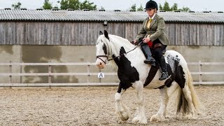 Rescue pony Shanly is side-saddle star