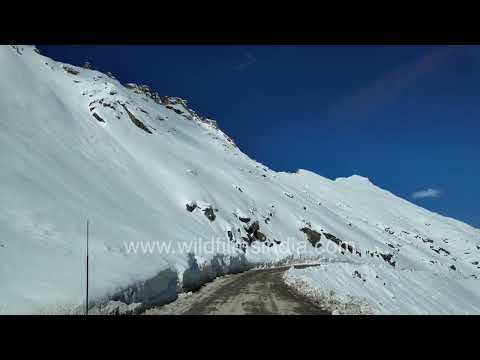 Driving through snow to Khardung La at 5,359 metres, Ladakh