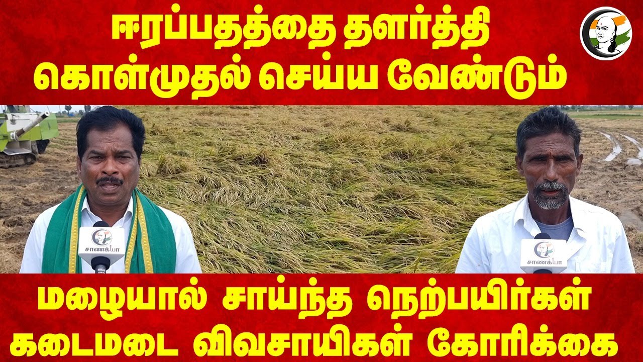 ஈரப்பதத்தை தளர்த்தி கொள்முதல் செய்ய வேண்டும் | Nagai Farmers Pressmeet | Heavy Rain | Paddy