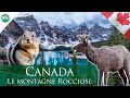 CANADA - Le MONTAGNE ROCCIOSE (Canadian Rockies Road Trip)