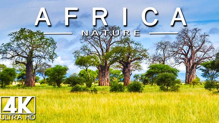 FLYING OVER AFRICA (4K UHD) - Relaxing Music Along With Beautiful Nature Videos