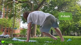 Bear Plank Alt. Kick Through