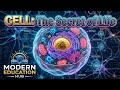 What Is Cell | Human Cell | Complete Video | Chapter 1