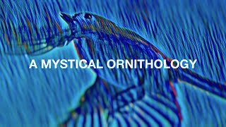 A Mystical Ornithology