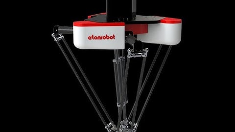 4 Bags in on Carton by Delta Robot(Parallel Robot)