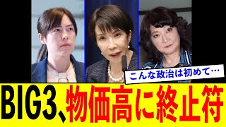 【希望】高市内閣が日本の物価高に終止符を打とうとしてしまうwwww