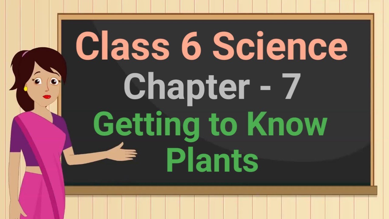 Class 6 Science Chapter 7 'Getting to Know Plants' (full chapter) cbse ...
