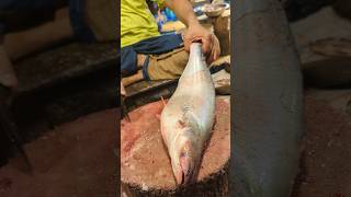 Incredible Huge Pangas Fish Cutting Skills In Bangladesh Fish Market By Expert Cutter#shorts