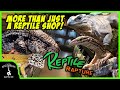 The biggest reptile shop in the state return to reptile rapture