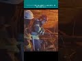 ウクライナで燃え盛る建物から子猫を救出、動画が公開される