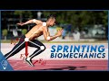 Mastering Sprinting Biomechanics Through Scientific Analysis