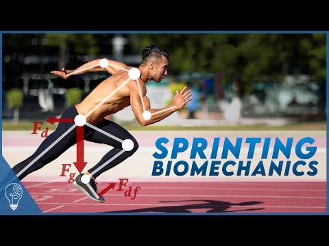 How sprinters use biomechanics to push the limits of the human body