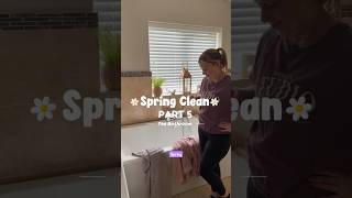 Spring Clean - Part 5 The Bathroom