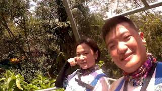 The scream @ Escape Penang 2025 P. O. V