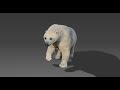 Polar bear running animation loop | Maya arnold | CG Creature artist #stynsour