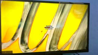 Vap Video 1998 20221013 In Lost Effect