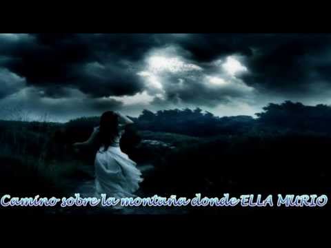 Red Hot Chili Peppers Dosed Subtitulado Español