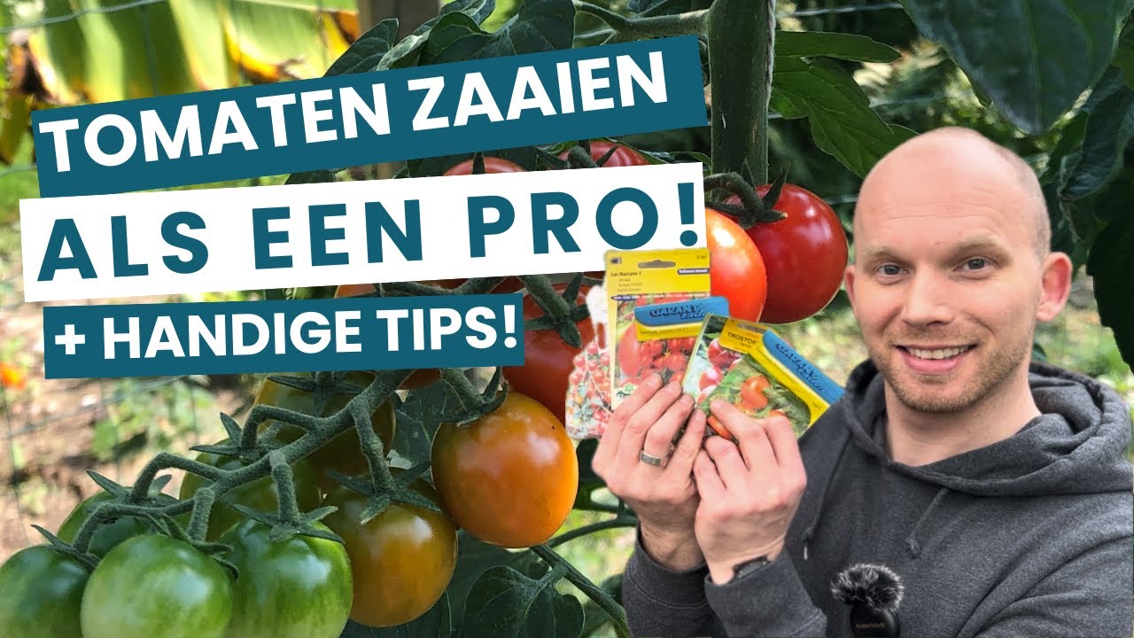 Tomaten Zaaien als een Pro! 🌱Dit Moet Je Weten! 🍅 | De Moesketier