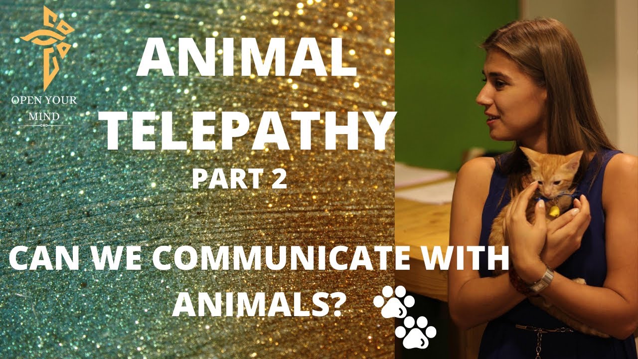 The Ancient Art Of Telepathic Communication With Animals- Part 2
