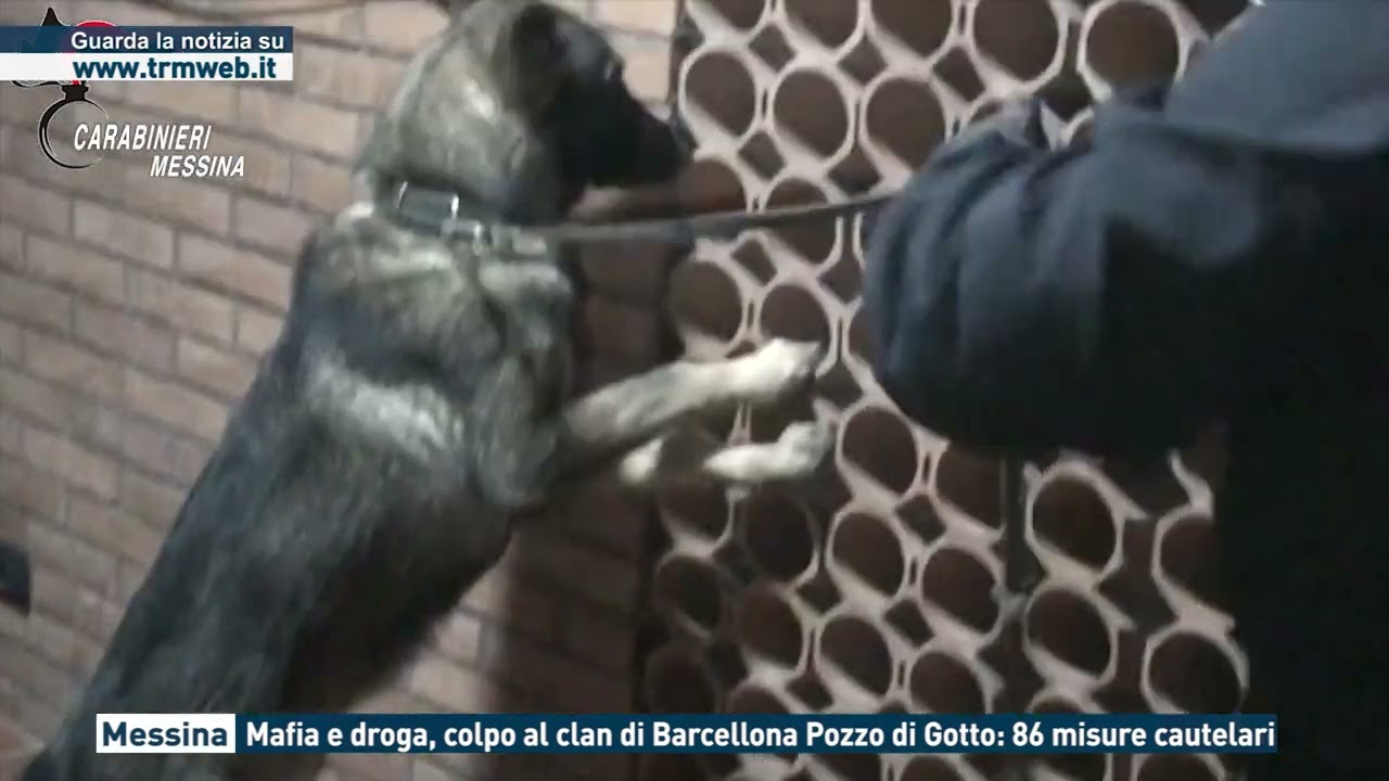 Messina - Mafia e droga, colpo al clan di Barcellona Pozzo di Gotto: 86 misure cautelari