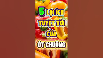ỚT CHUÔNG CÓ TÁC DỤNG GÌ? #otchuong #chamsocsuckhoe  #songkhoemoingay #nhipsongxanh #songkhoe