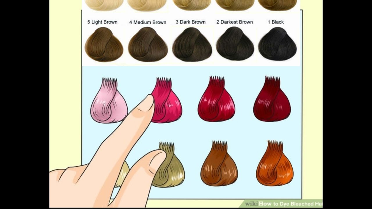 صبغ الشعر، الوصفة النظرية والتطبيق العملي