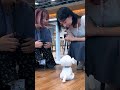 社内散歩だワン🐶#会社#紹介#おもちゃ#就活