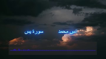 قران كريم بصوت جميل جدا جدا يشرح القلب سورة يس كاملة تلاوة هادئة لكل قلب حزين