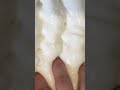 Slime clicking #slime #slimeasmr #satisfyingslimevideo #slimeclicking #clickingslime #slimey